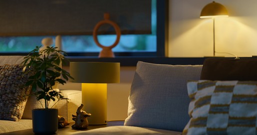 tahoma app lighting management