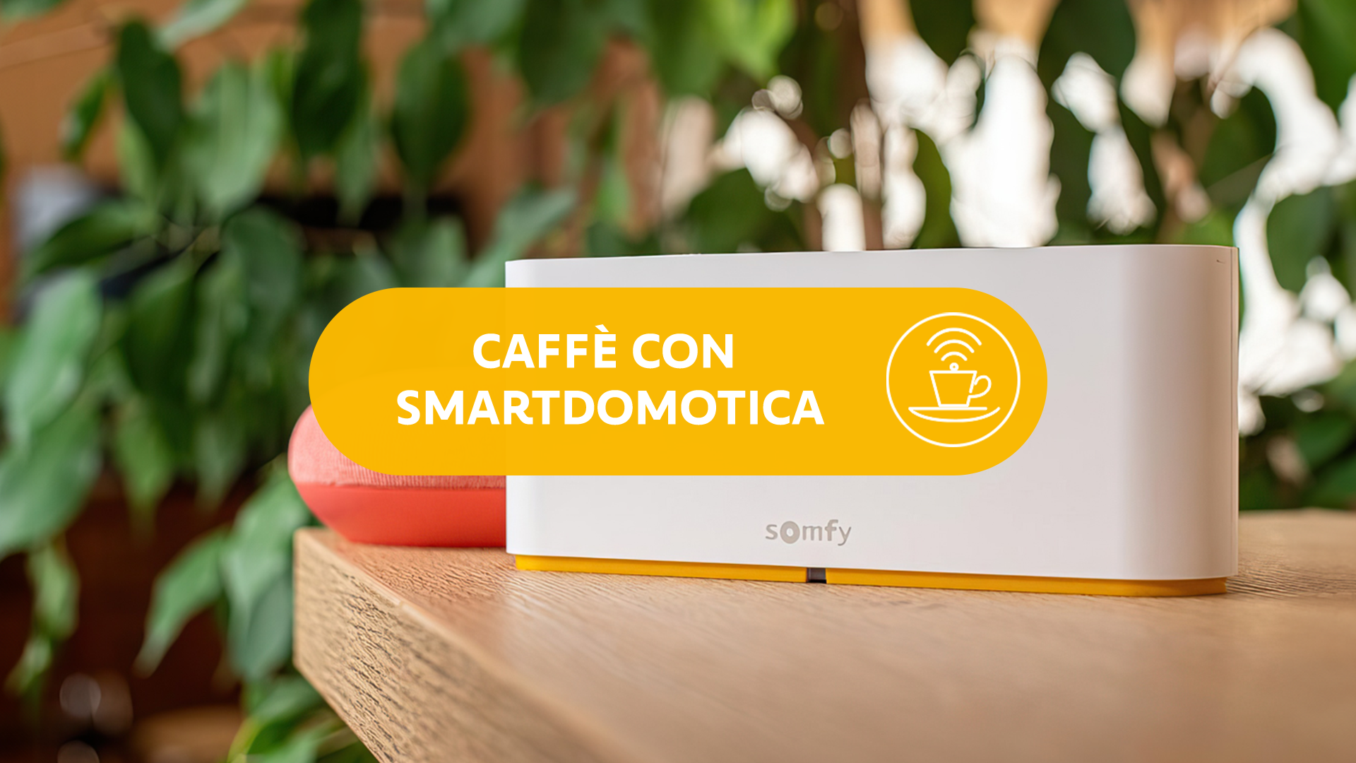 Domotique : Découvrez Somfy Tahoma Switch